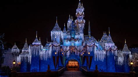 Discover the Magic of a Winter Wonderland Celebration